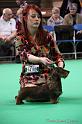 Crufts2011_2 1200